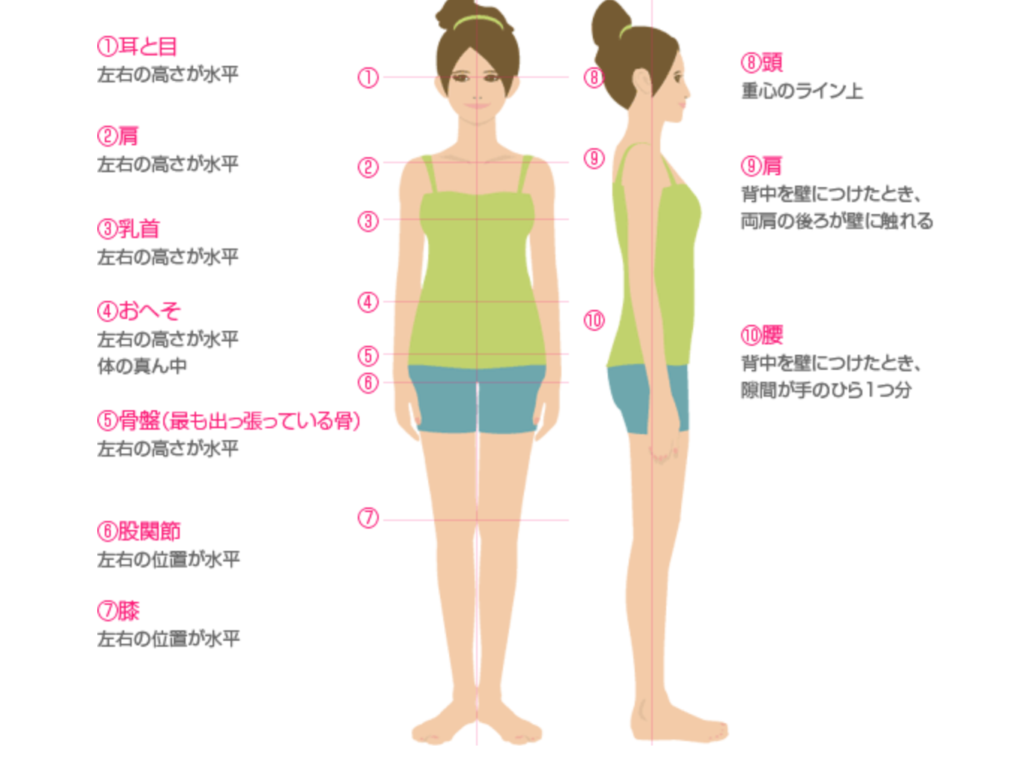 内臓下垂によるぽっこりお腹の原因と具体的な解消方法 B Life 内臓下垂によるぽっこりお腹の原因と具体的な解消方法 B Life